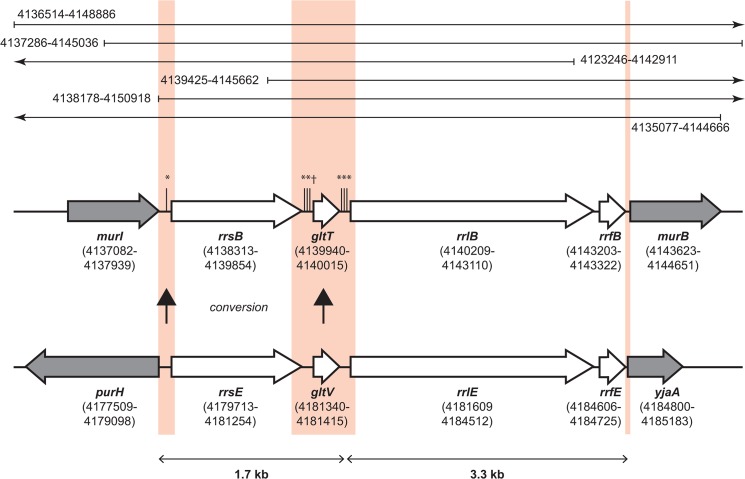 Fig 5