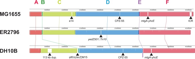 Fig 3