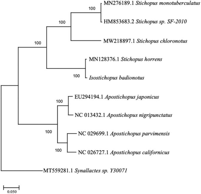 Figure 1.