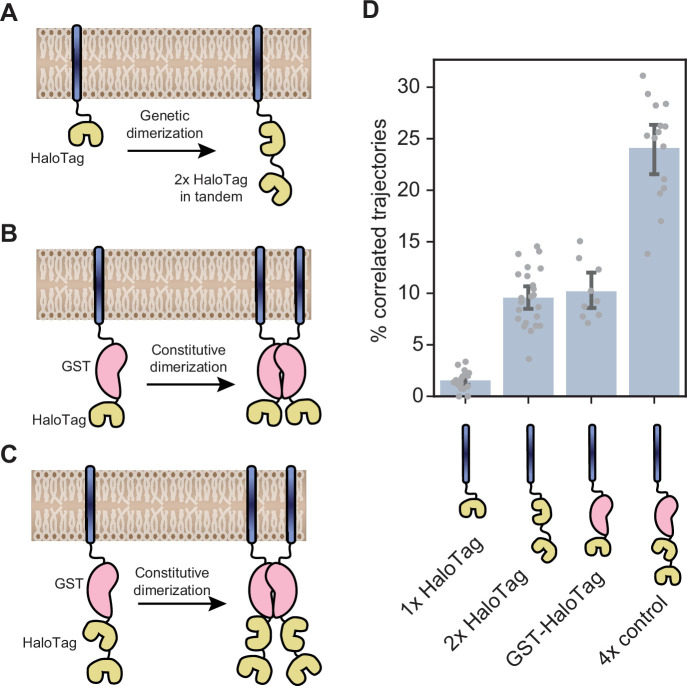 Figure 2—figure supplement 1.