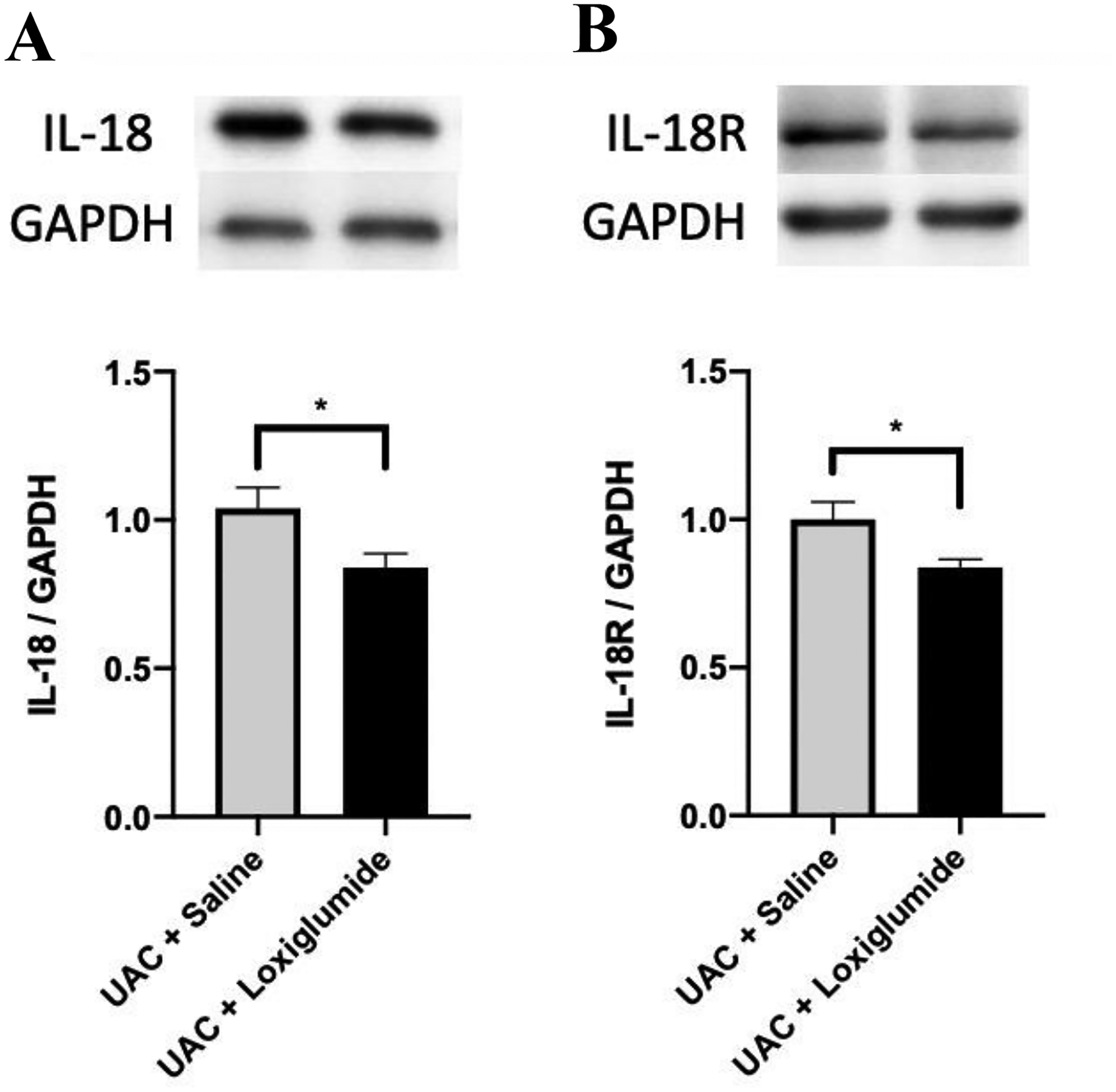 Figure 11.