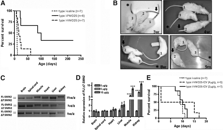 FIG. 7.