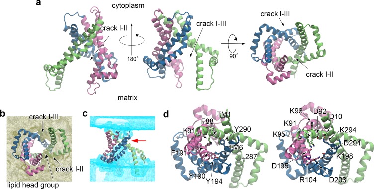 Fig 6