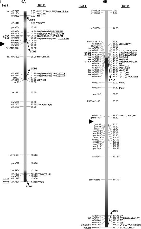 Figure 2.—