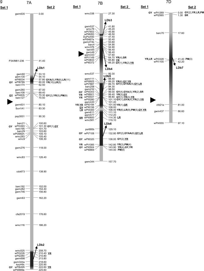 Figure 2.—