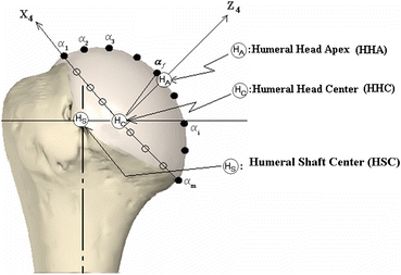 FIGURE 7