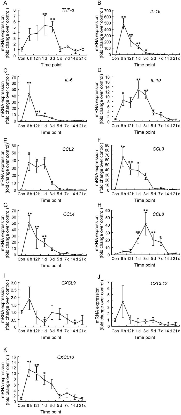 Fig. 3