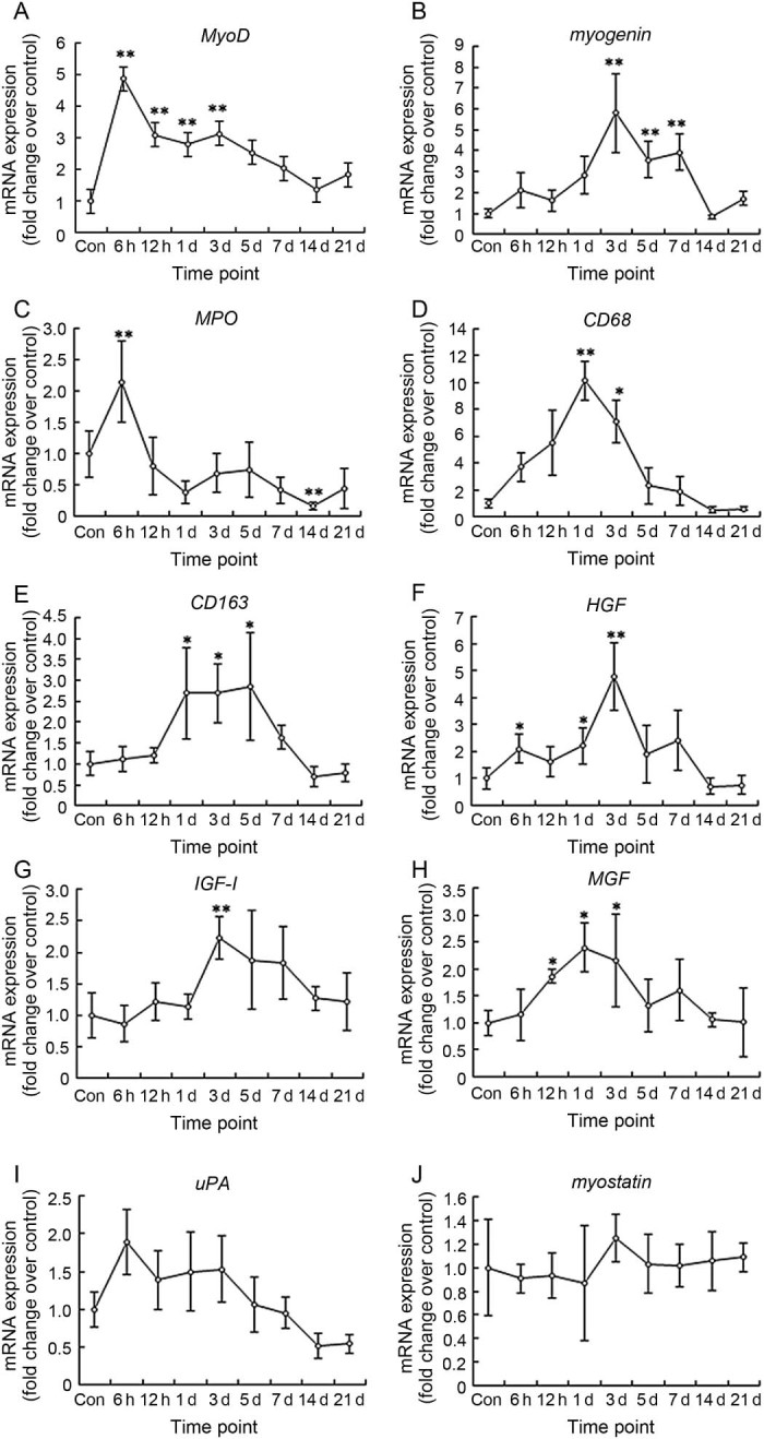 Fig. 2