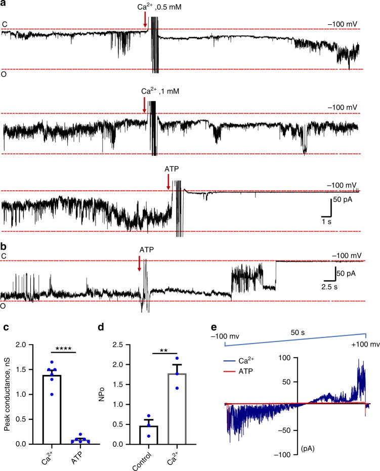 Fig. 4