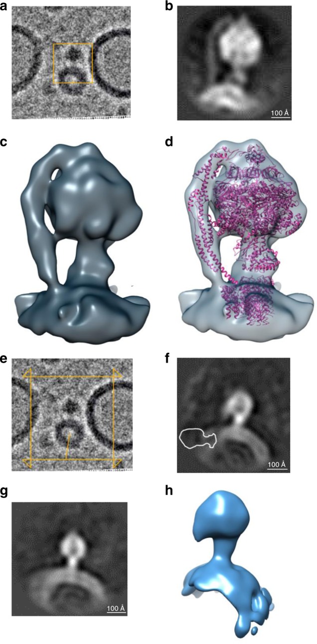 Fig. 2