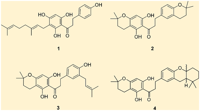 graphic file with name nihms-1578270-f0001.jpg