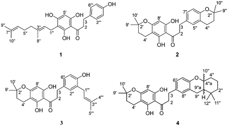 graphic file with name nihms-1578270-f0002.jpg