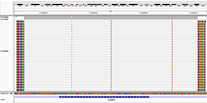 Figure 5