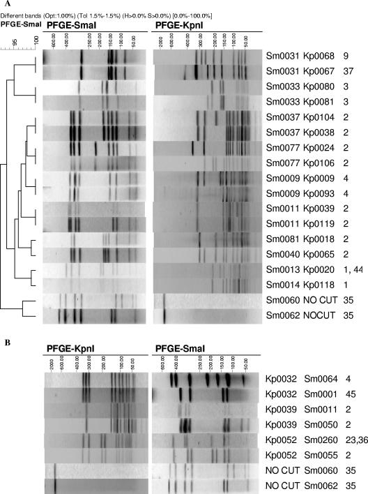 FIG. 4.