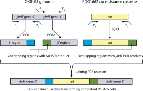 Figure 3.