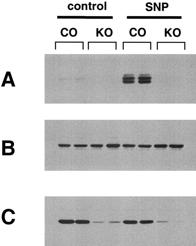 Figure 9.