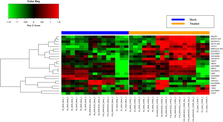 Figure 1