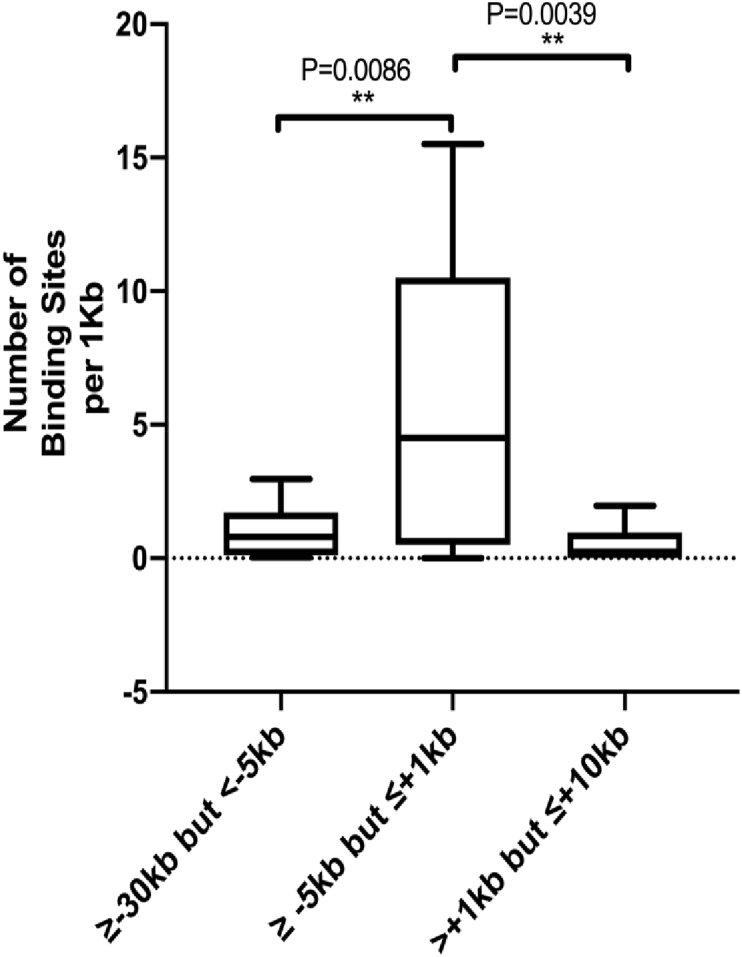 Figure 3