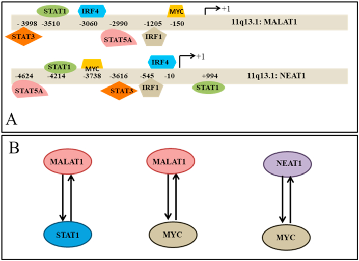 Figure 5