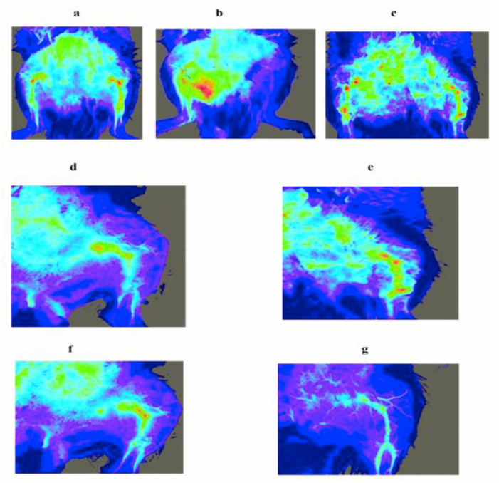 Fig. 2