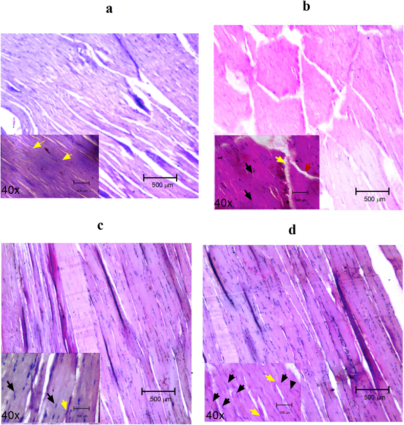 Fig. 6