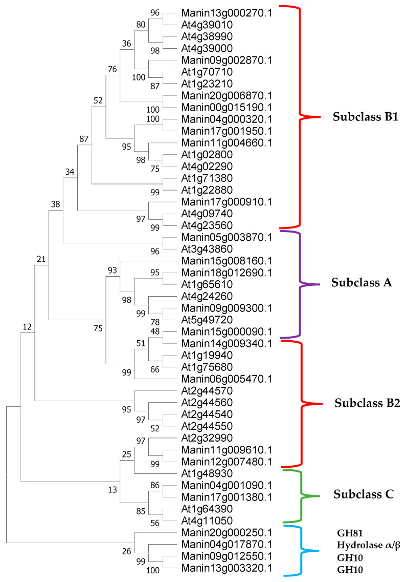 Figure 2