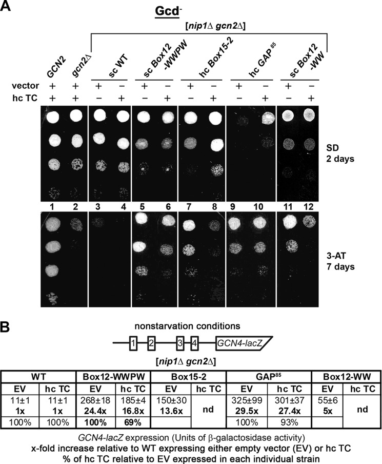 FIGURE 4.