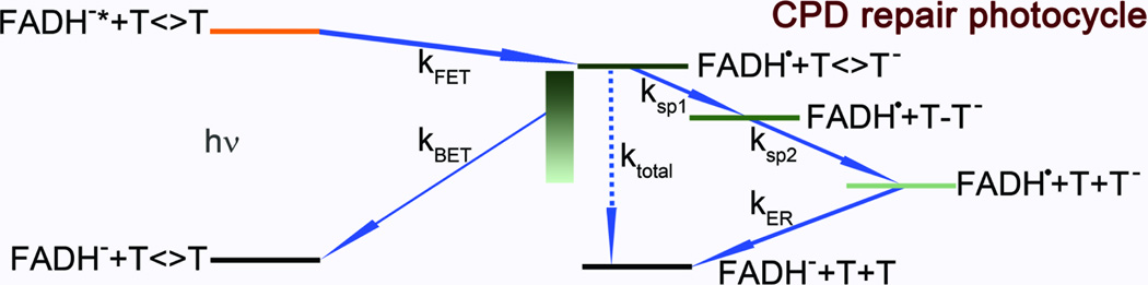 Fig. 5