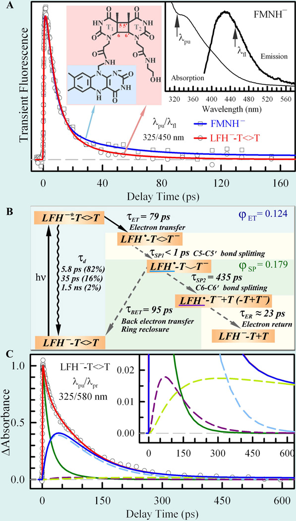 Fig. 12