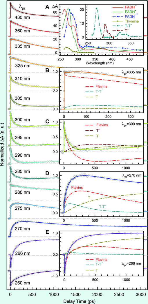 Fig. 6