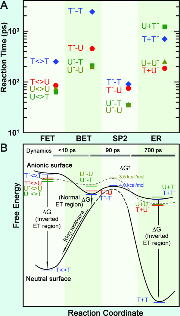 Fig. 9