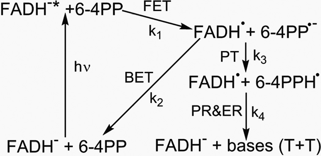 Fig. 13