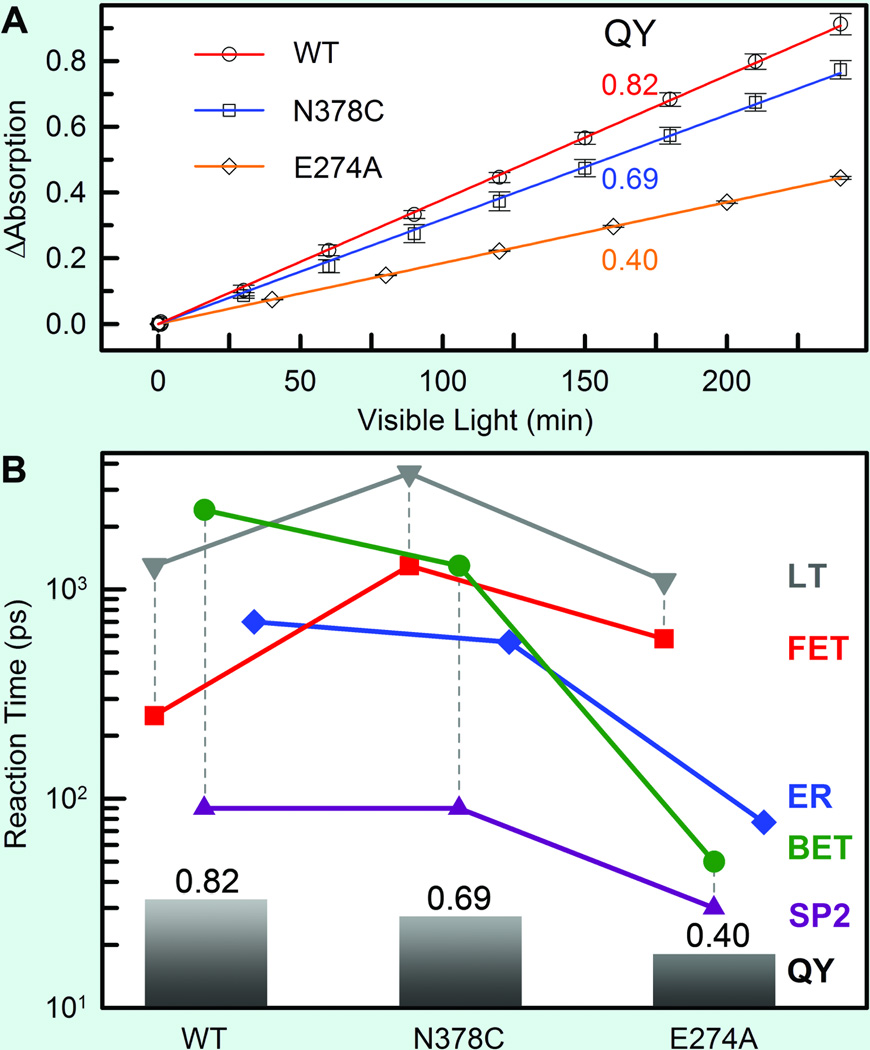 Fig. 11