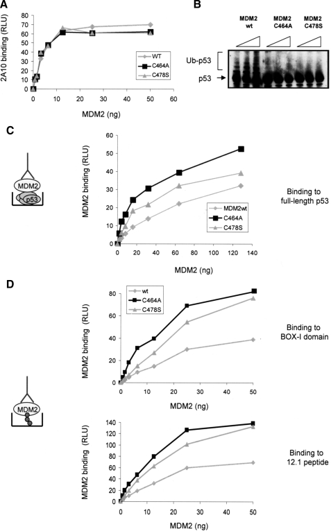 FIGURE 4.