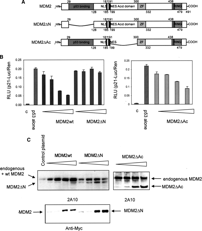 FIGURE 2.