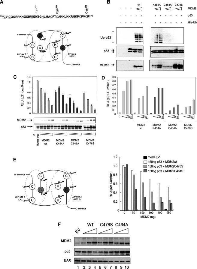 FIGURE 1.