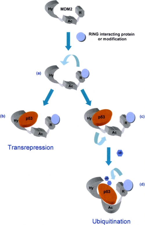 FIGURE 7.