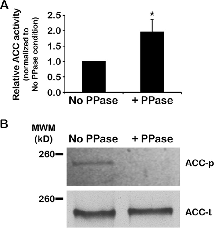 FIG 4 