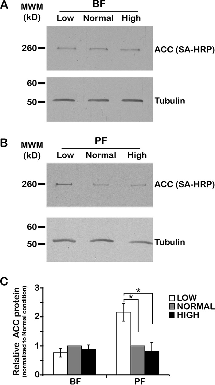 FIG 1 