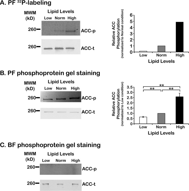 FIG 3 