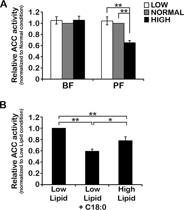 FIG 2 