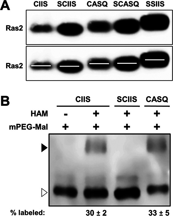 FIG 3