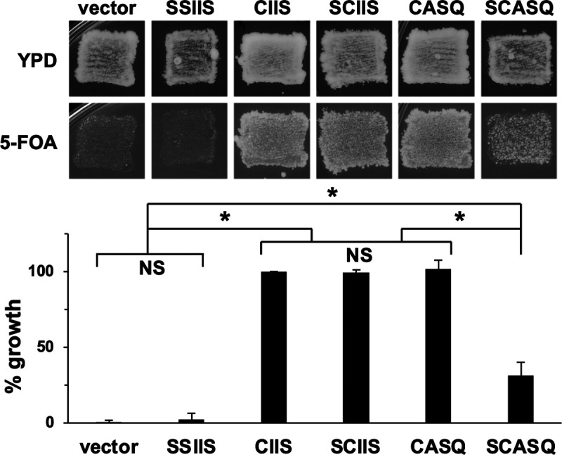 FIG 2