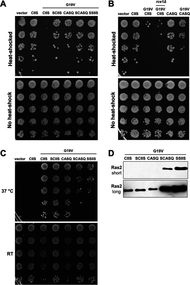 FIG 6