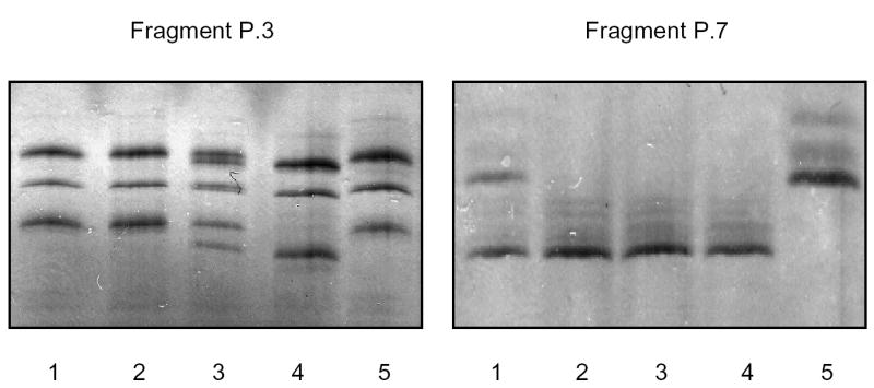 Figure S.1