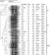 FIG. 1.