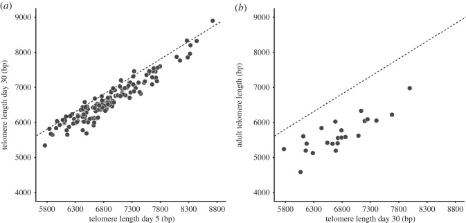 Figure 2.