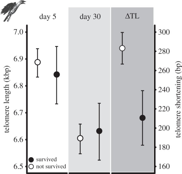 Figure 3.