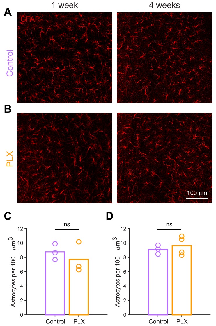 Figure 2—figure supplement 3.