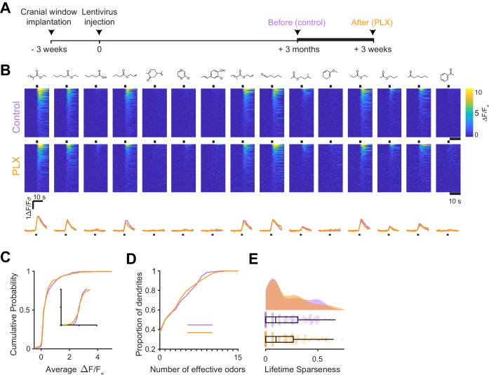 Figure 4—figure supplement 2.